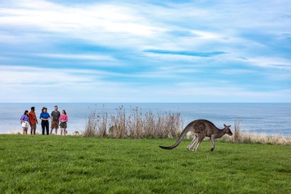 Longitudinal Indicators for the Visitor Economy Tourism Research